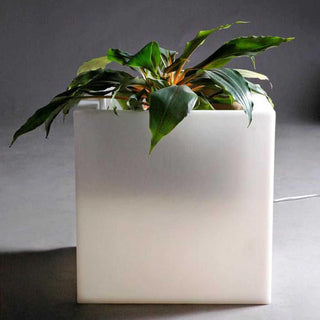 Slide Q-Pot Light Vase Lighting White by Slide Studio Buy now on Shopdecor